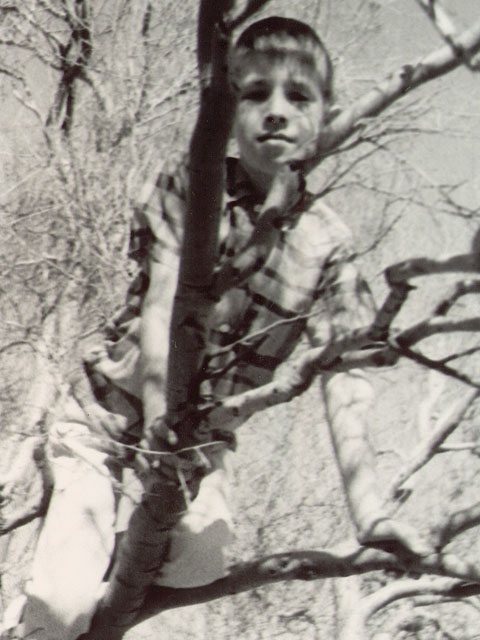 Donor 5 years old, climbing tree